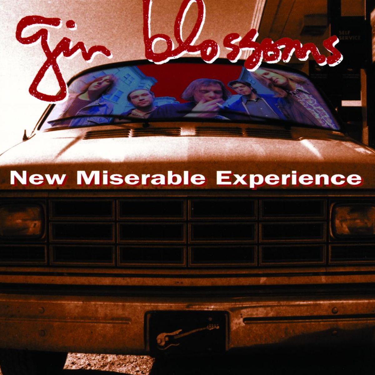Gin Blossoms